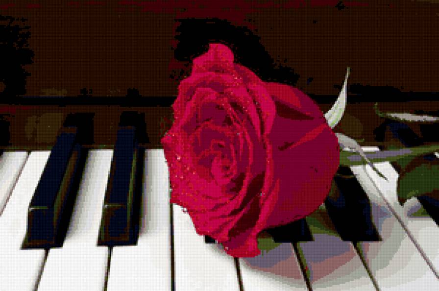 Роза на рояле - роза, пианино, рояль, цветок - предпросмотр