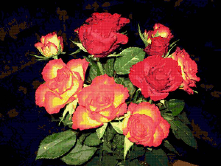 розы - цветы, розы - предпросмотр