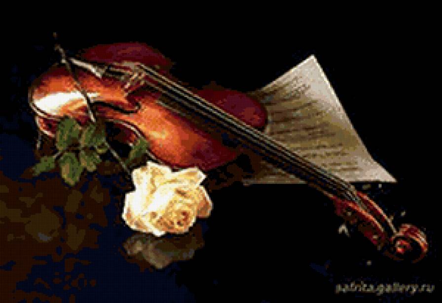 №310105 - белая роза, скрипка, цветы, ноты, натюрморт - предпросмотр