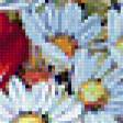 Предпросмотр схемы вышивки «серия полевые цветы» (№310286)