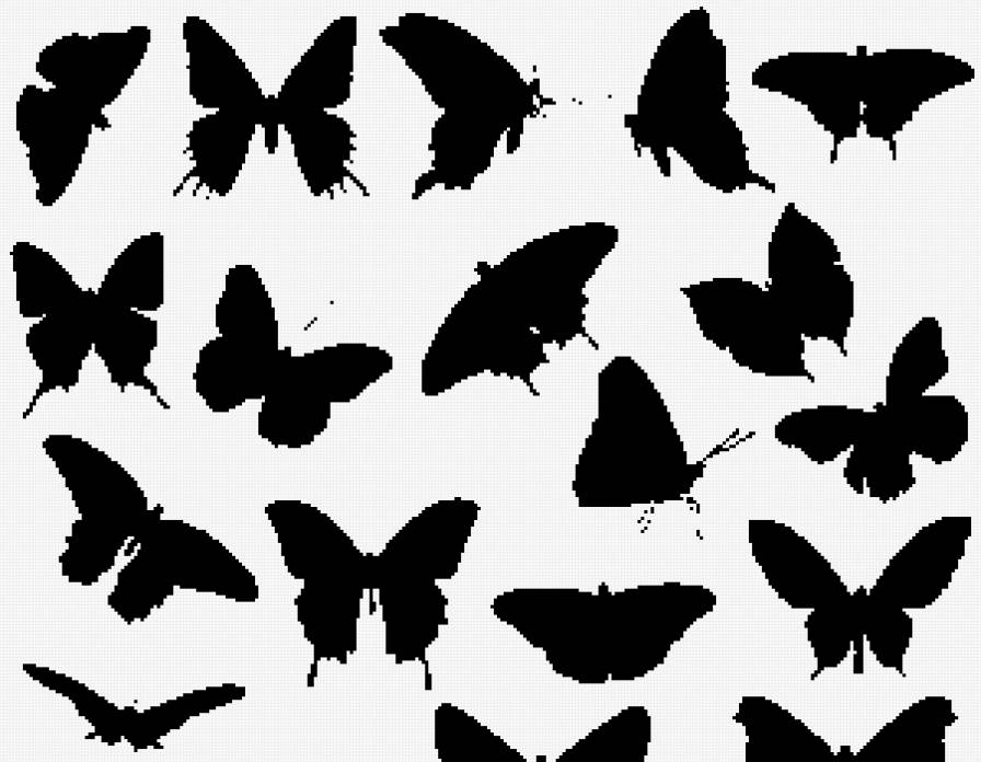 Полет бабочек - предпросмотр