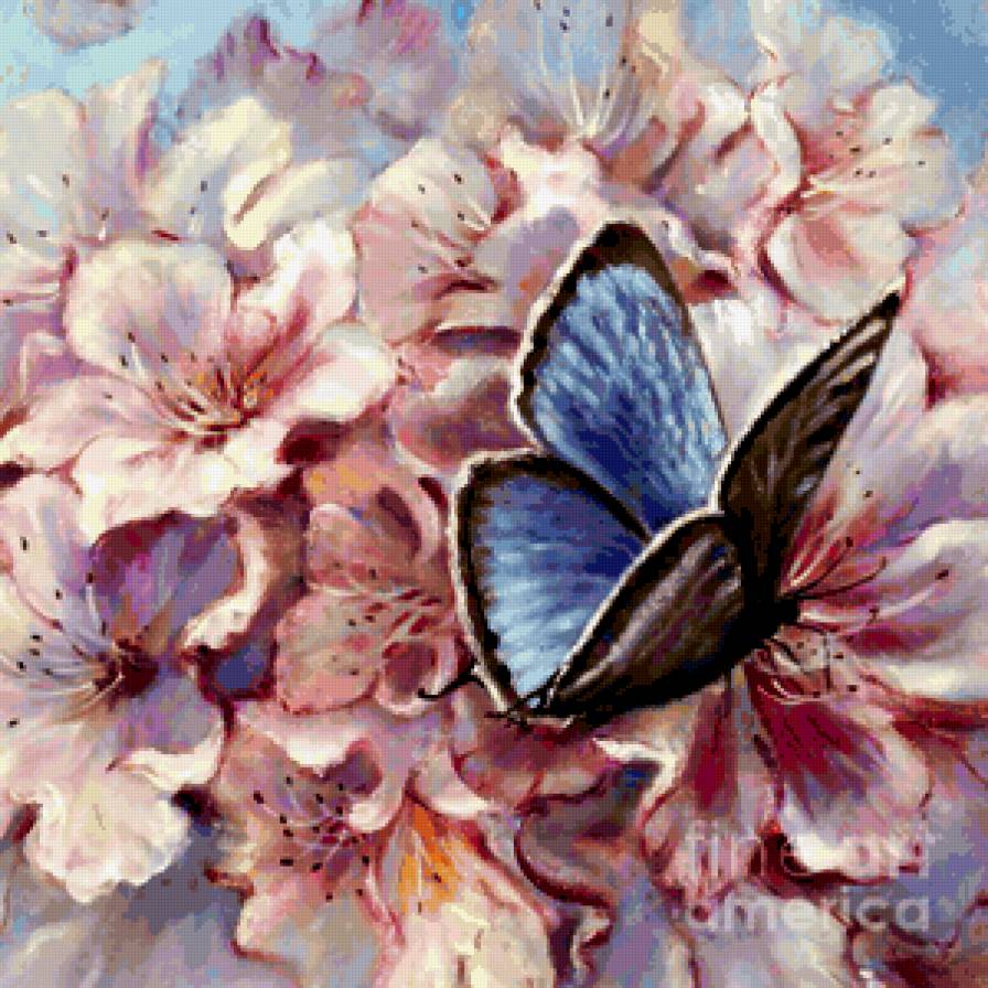 бабочка на веточке цветущей яблони - яблоня, бабочка, весна, цветы - предпросмотр