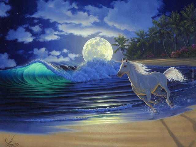 белый конь на морском берегу - конь, море, берег, лошадь - оригинал