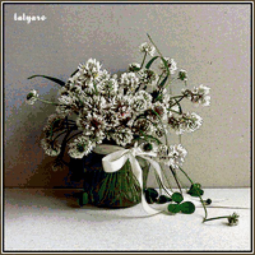 клевер - клевер, цветы, натюрморт - предпросмотр