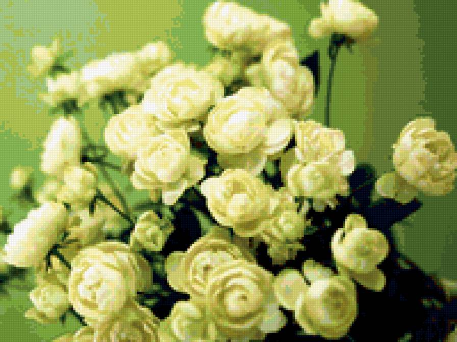 беленькие цветочки - лютики, букет, цветы, белые - предпросмотр