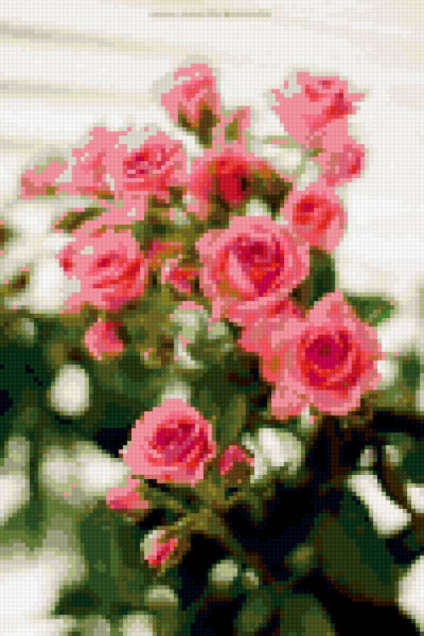 Розочки - розочки, шеби, цветы, цветок, розы, шебби, шеббишик, шебишик - предпросмотр