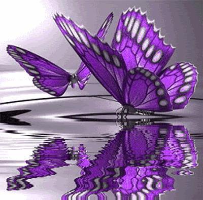 бабочки и вода - вода, отражение, бабочки - оригинал