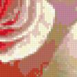Предпросмотр схемы вышивки «розы» (№312767)