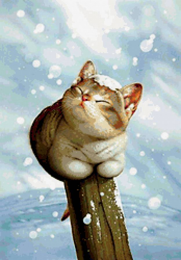 Кошка в снегу - зима, кошка, снег - предпросмотр