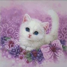 белый котенок