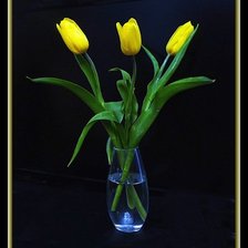 Оригинал схемы вышивки «тюльпаны» (№314056)