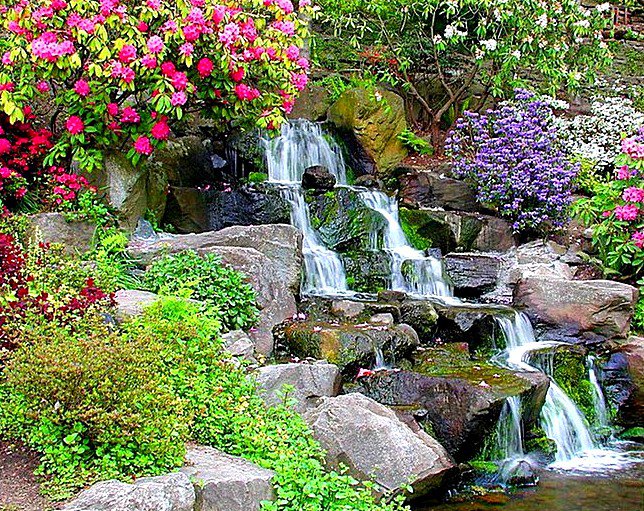 Водопад - парк, водопад, цветы - оригинал