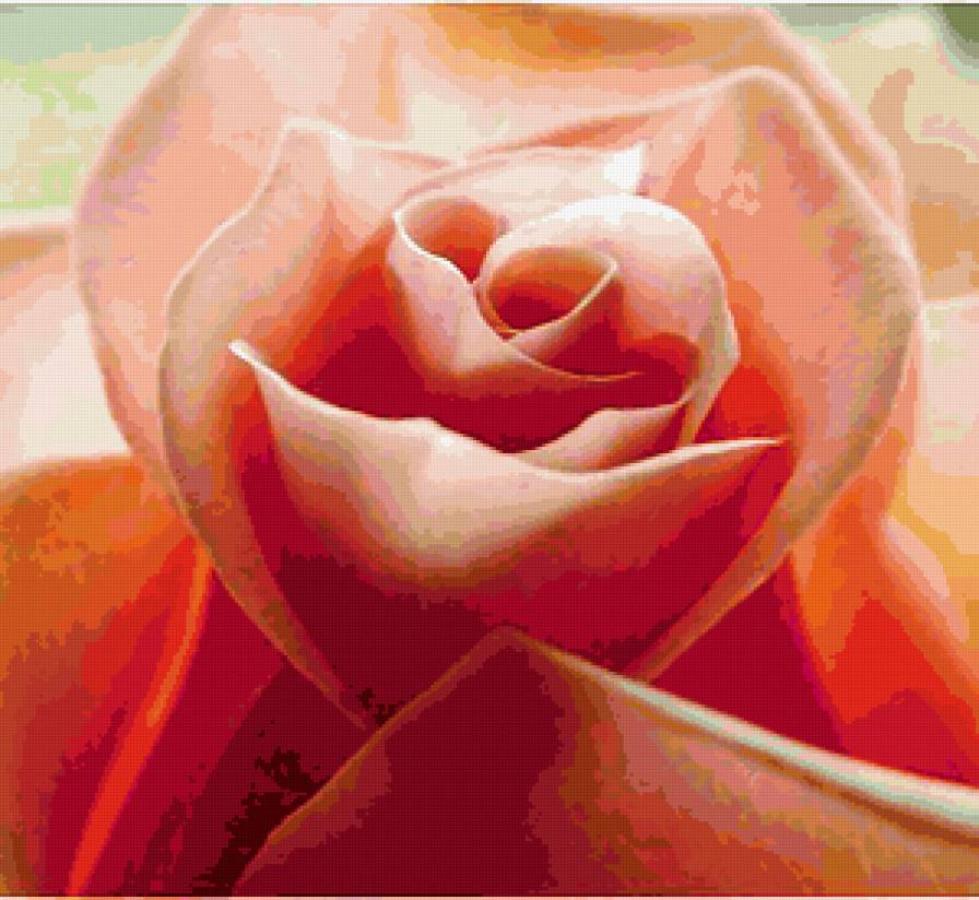 №314370 - розы, подушка, картина, цветы - предпросмотр