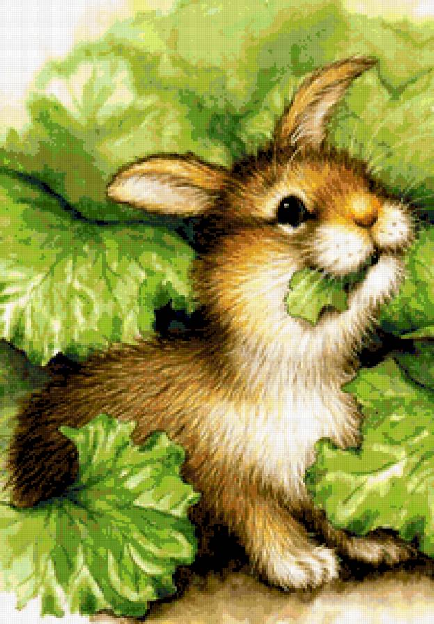 Зайчик и капуста - весна, цветы, зайчонок, деткам, зайчик, зверушки, капуста - предпросмотр