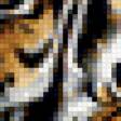 Предпросмотр схемы вышивки «тигрица 1» (№315616)