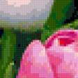Предпросмотр схемы вышивки «тюльпаны» (№315797)