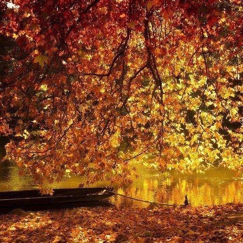 Осень - лодка, осень, закат - оригинал