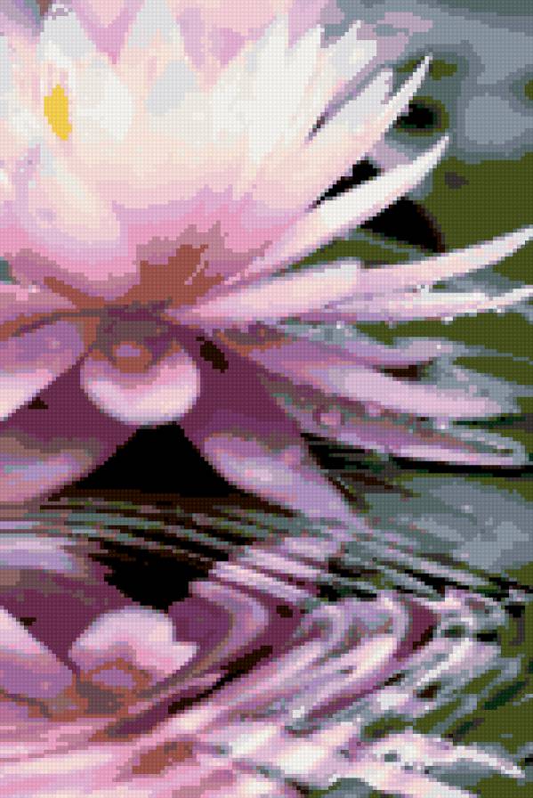 Лотос - цветы, природа - предпросмотр