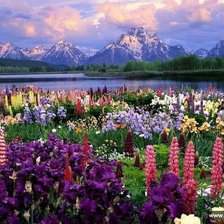 озеро в цветах