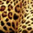 Предпросмотр схемы вышивки «леопарды» (№316997)