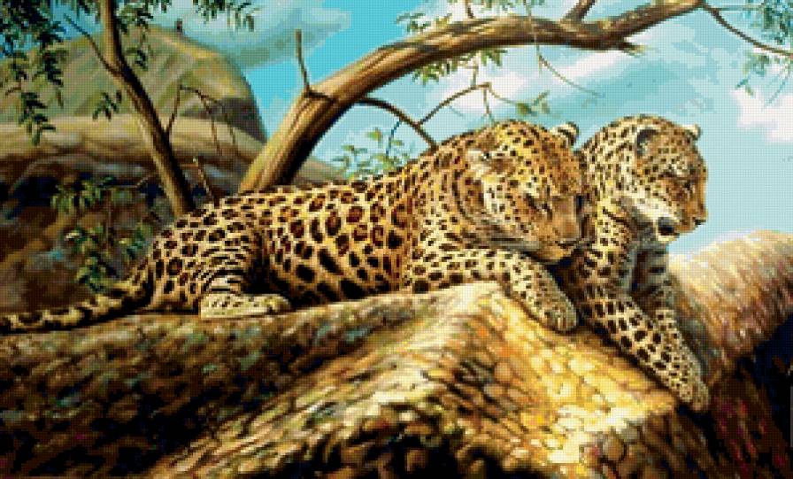 леопарды - животные, природа - предпросмотр
