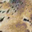 Предпросмотр схемы вышивки «леопард» (№317001)