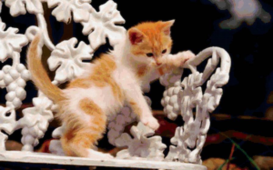 Маленький маленький котёночек))) - котенок, животные - предпросмотр