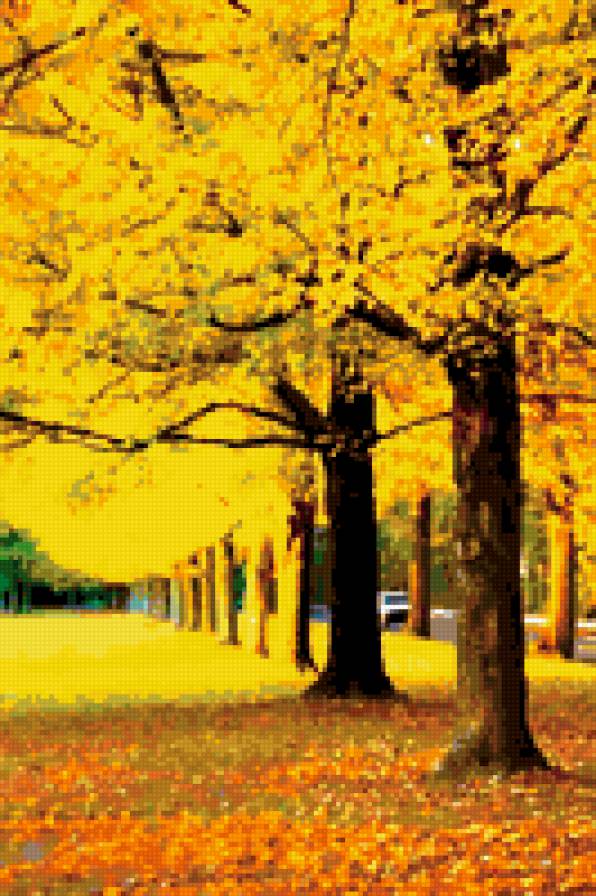 №317799 - времена года, деревья, природа, картина, осень - предпросмотр