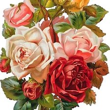Оригинал схемы вышивки «розы» (№317921)