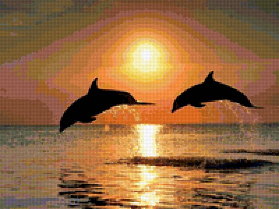 закат 2 - закат. море. дельфины.солнце - предпросмотр