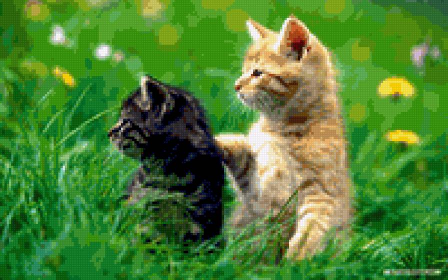 Котята - кошки, животные - предпросмотр