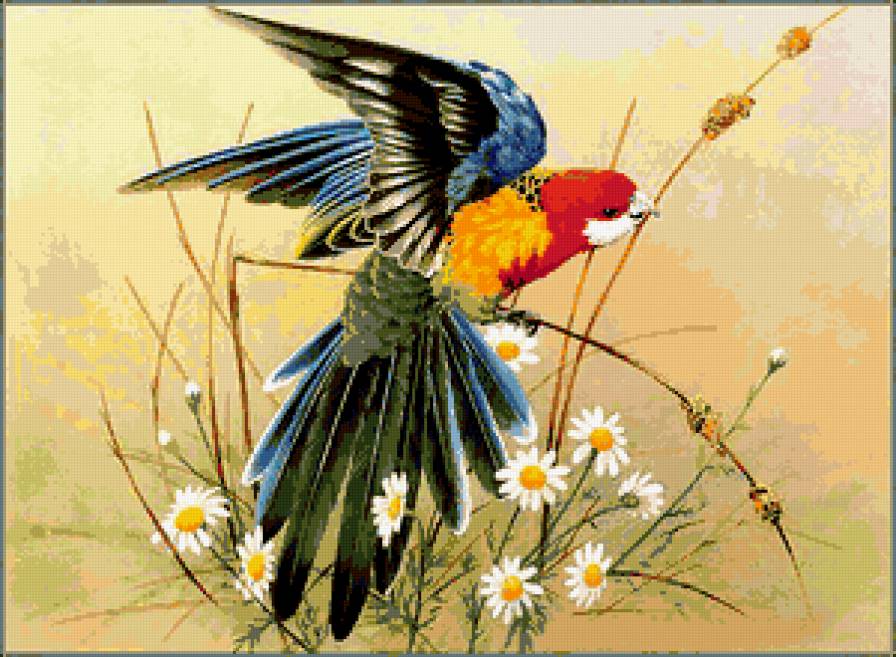 Какаду - южная америка, природа, попугай, птицы - предпросмотр