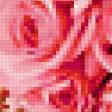 Предпросмотр схемы вышивки «розы» (№318231)