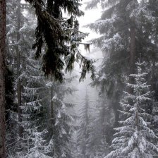 Оригинал схемы вышивки «Зима в лесу» (№318296)