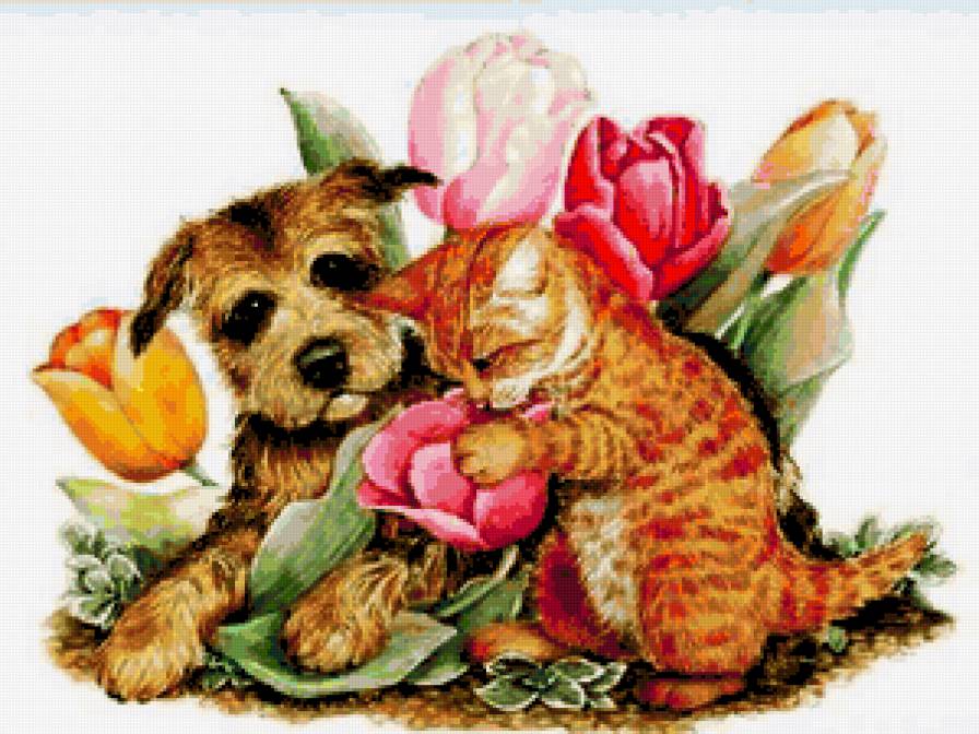 Два друга - тюльпаны, котенок, кошки, детки, собаки, щенок, малыши - предпросмотр