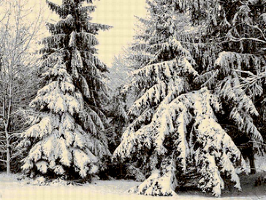 №318809 - деревья, природа, снег, зима, сугробы, пейзаж - предпросмотр