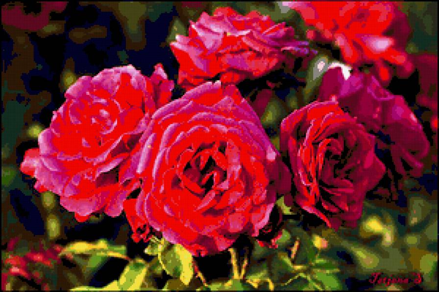 розы - букет, цветы, розы - предпросмотр