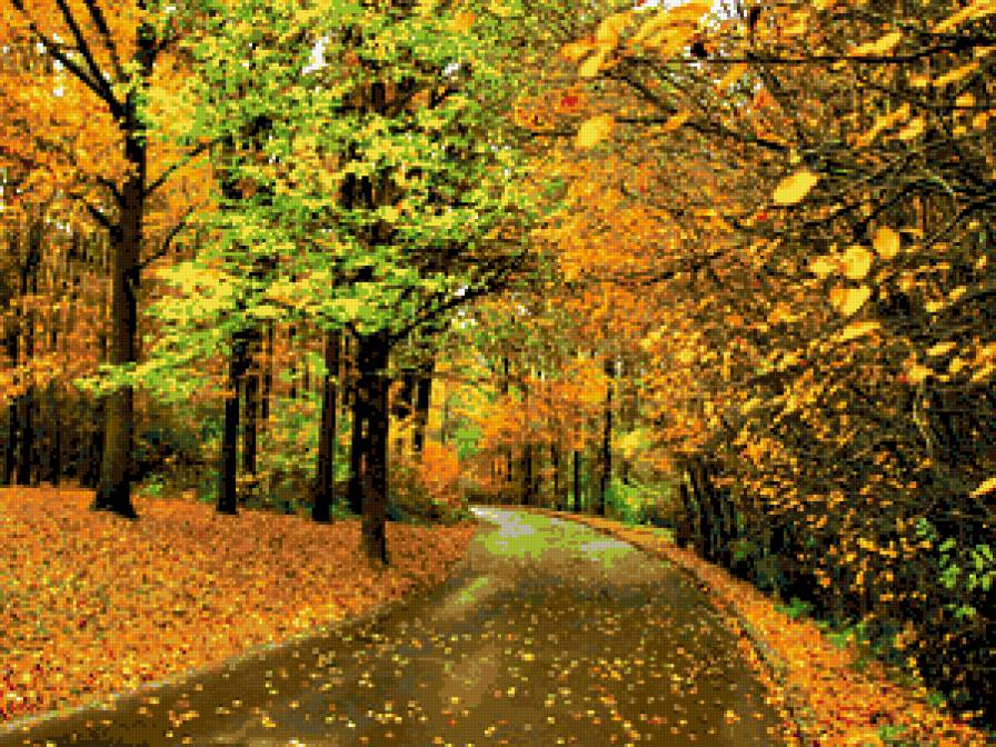дорога в осень - осень, пейзаж, природа, дорога, деревья - предпросмотр