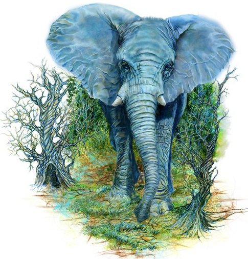 слон - природа, животные, дерево, африка - оригинал
