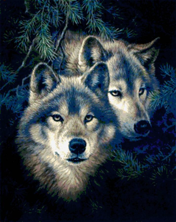 волки - собака, животные, природа, лес, волк - предпросмотр