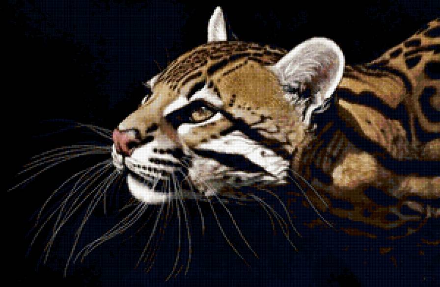 леопард - кошка, тигр, животные, кот - предпросмотр