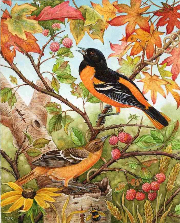 Птички и Ягодки - птицы, очень, ягодки, природа, осень, птичкии, листья - оригинал