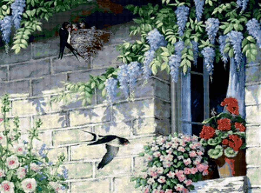 №319309 - цветы, гнездо, птицы, дом, ласточки, окно, птенцы - предпросмотр