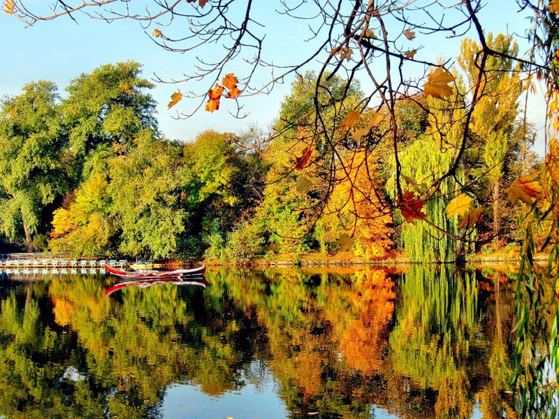 отраженье осени - отражение, деревья, осень, пейзаж, озеро, природа - оригинал