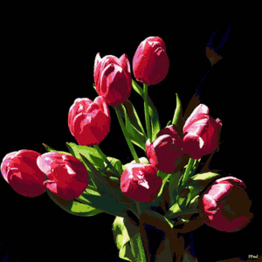 тюльпаны - тюльпаны, букет, на черном, цветы - предпросмотр