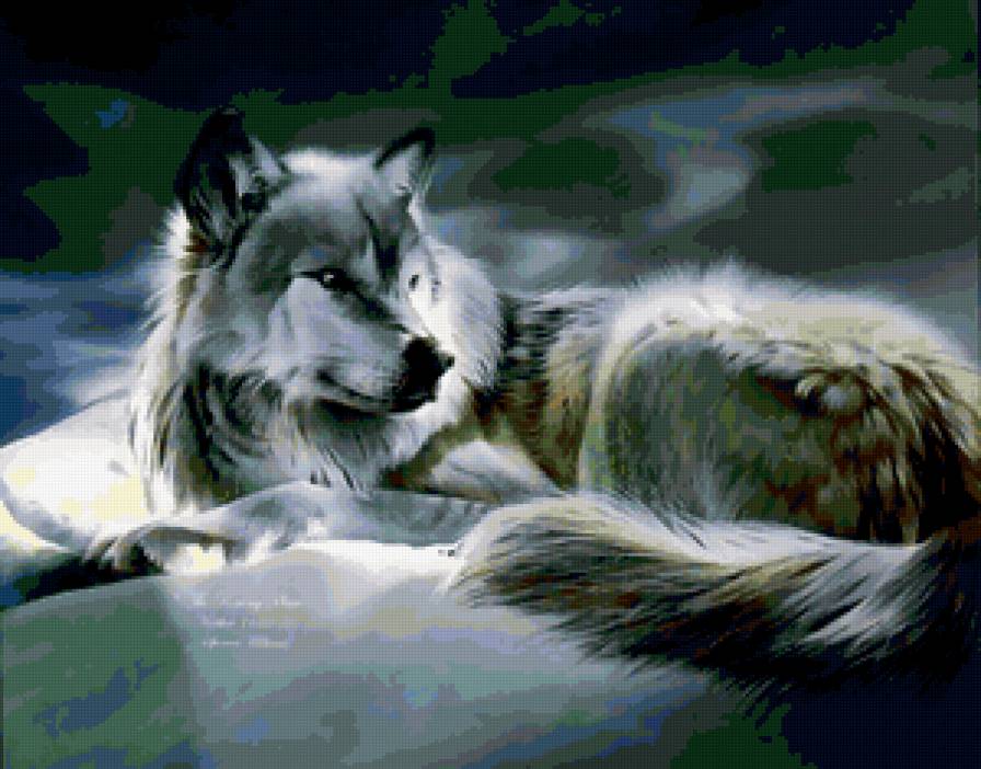 одинокий волк - волки, хищник, волк, одиночество, зверь, животное - предпросмотр