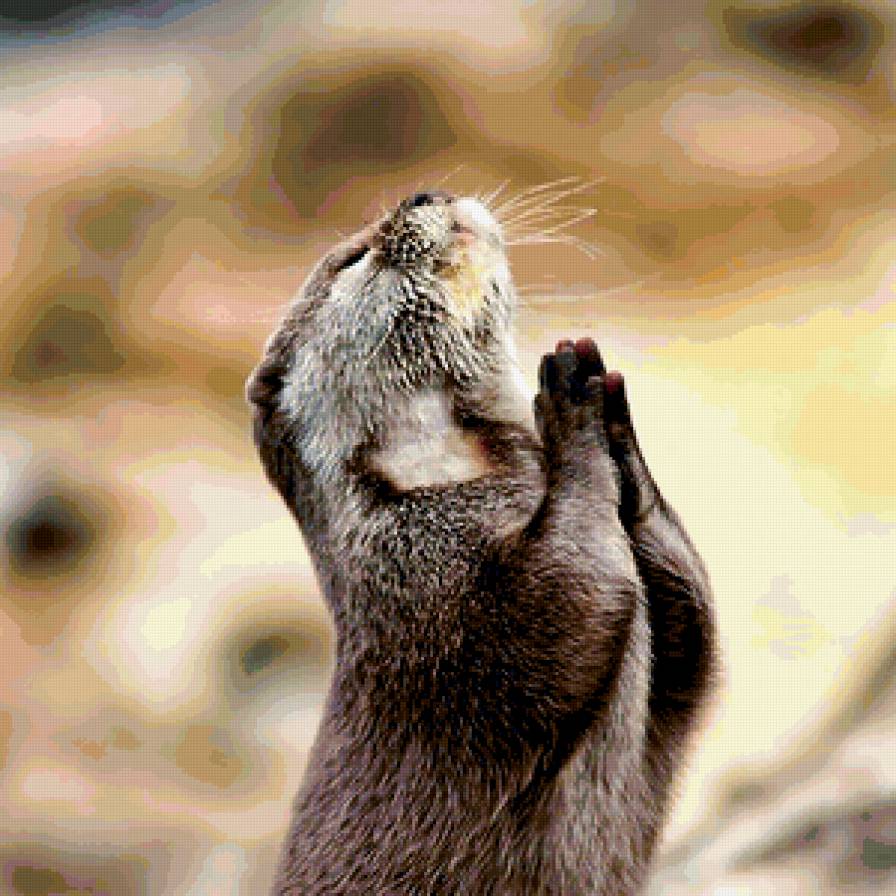Молитва - молитва, животные, природа - предпросмотр
