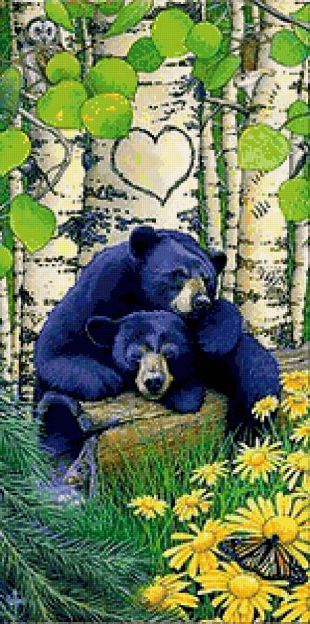 Влюблённые медведи - лес, звери, медведи, любовь, животные, медведь, природа - предпросмотр