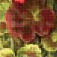 Предпросмотр схемы вышивки «цветы в горшке» (№321619)