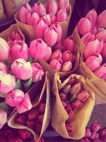 Тюльпаны - весна, тюльпаны - оригинал